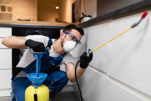 Best Ant Control Services  in Harvey, MI