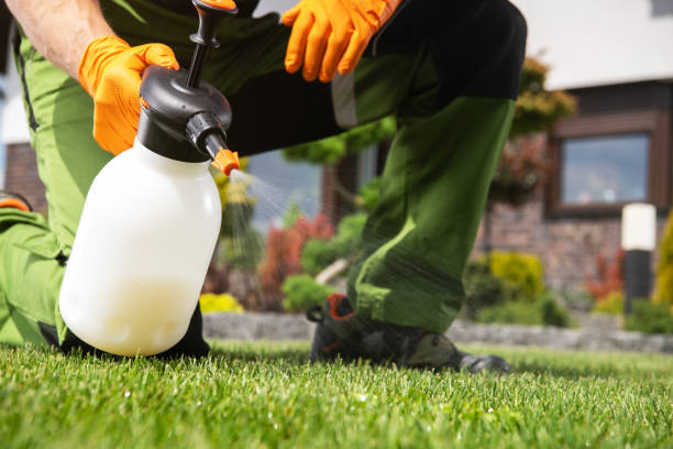 Best Rodent Control Near Me  in Harvey, MI