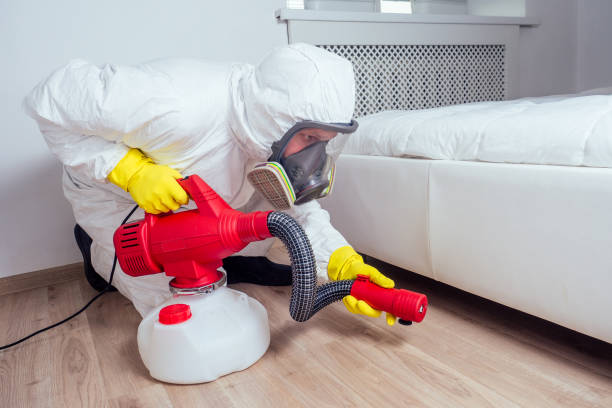 Best Wasp Removal Services  in Harvey, MI