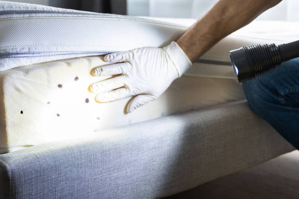 Best Best Pest Control Companies  in Harvey, MI