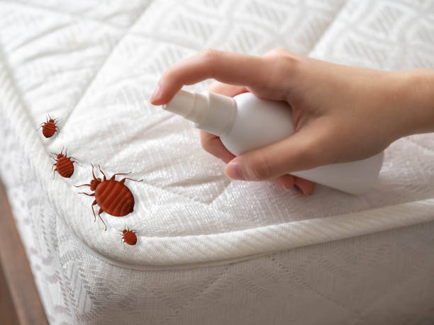 Best Residential Pest Control  in Harvey, MI