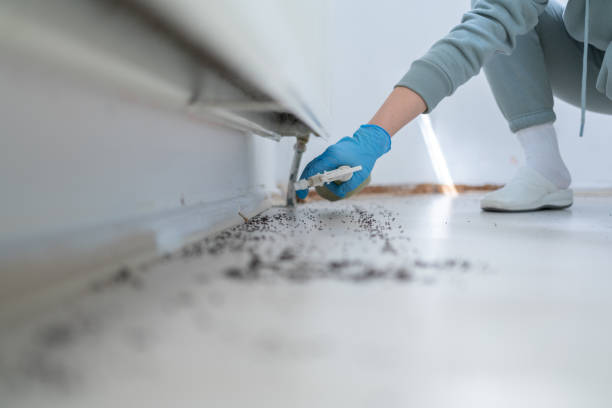 Best Wildlife Control Services  in Harvey, MI
