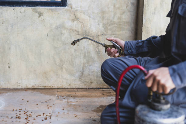 Best Pest Prevention Services  in Harvey, MI